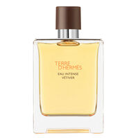 Terre d'Hermès Eau Intense Vetiver  100ml-170320 1